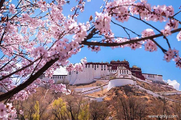 西藏旅行团旅游多少钱