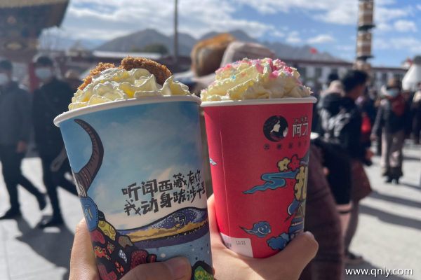 第一次去西藏怎样游玩